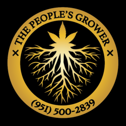 Logo thumbnail